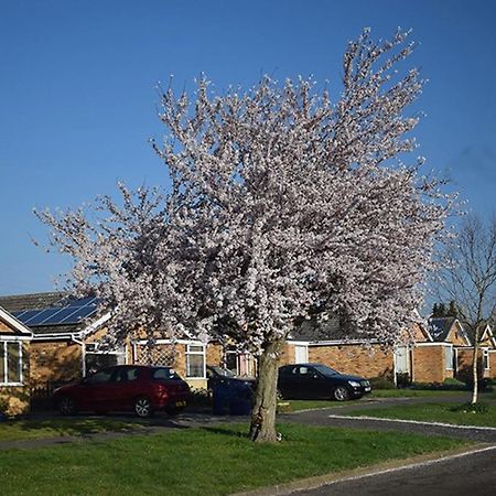 Wings Bed & Breakfast Oakham Bagian luar foto